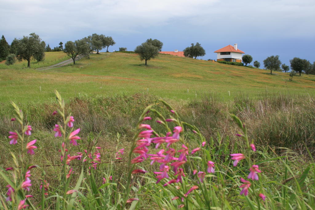 Monte da Pedra AlvaO Vale Da Mudanca别墅 客房 照片